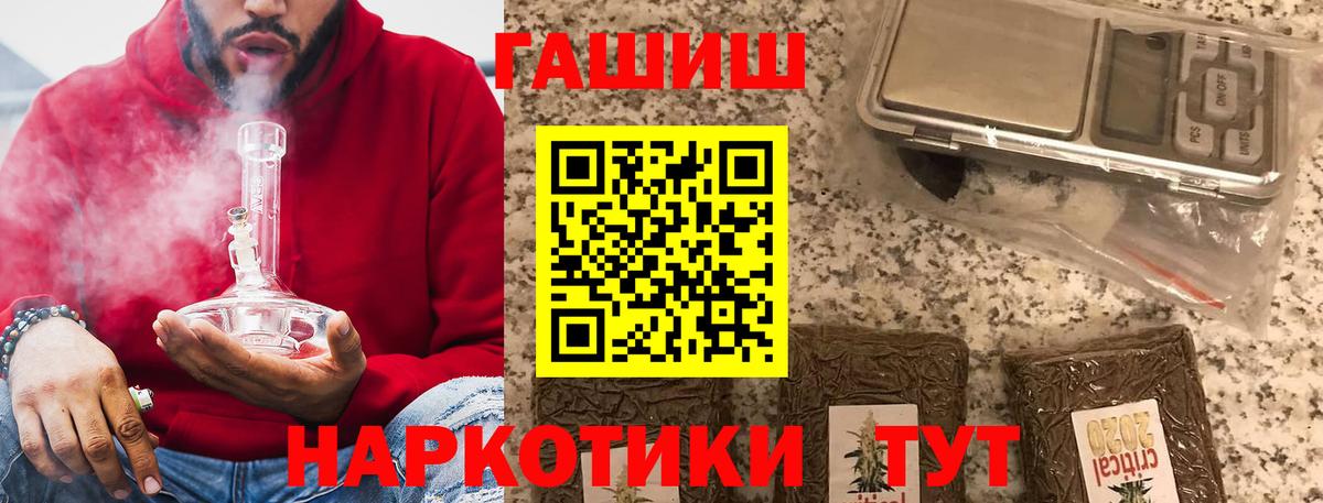 ГАШ Курчалой