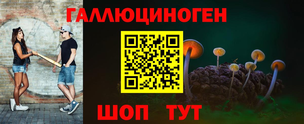 Псилоцибиновые грибы прущие грибы  Галлюциногенные грибы GOLDEN TEACHER  Курчалой  Вход с VPN 